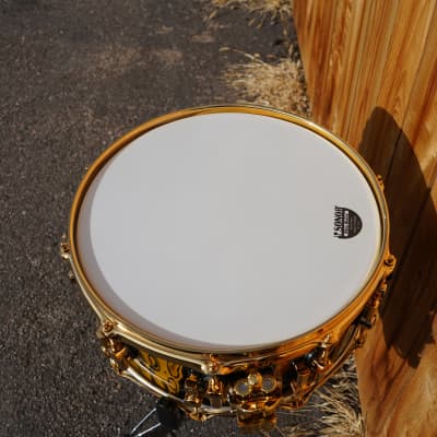 SONOR SQ2 Yellow Tribal/Ebony Heavy Beech Shell | Gold Plated Hardware | 6.5" x 14" Exotic Snare image 6
