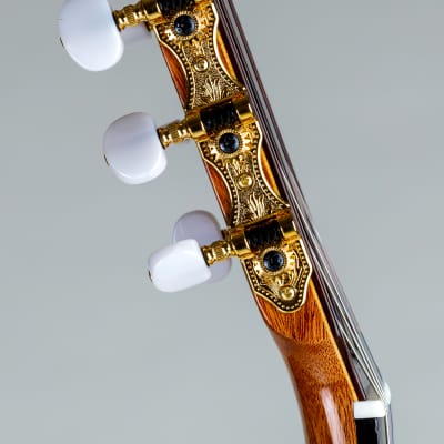 Pavan TP-20  Cedar Spanish Classical Guitar image 10