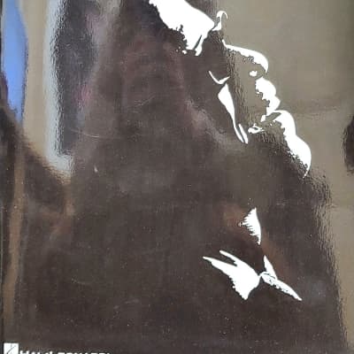 Ray LaMontagne and the Pariah Dogs - God Willin' & The Creek | Reverb