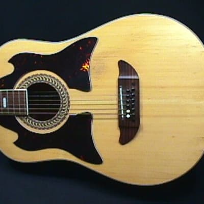 A Vintage Kay 12 String Acoustic Guitar in a Case  2 G image 2