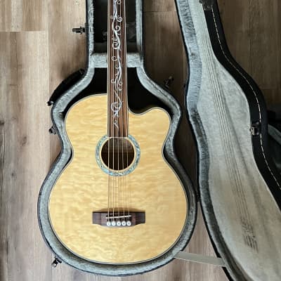 Michael Kelly Acoustic Bass Guitar - DragonflyFLN5 - 5 String Fretless - Hard Case - Lowest Price image 11