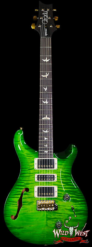 Paul Reed Smith PRS Core Series 10 Top Special Semi-Hollow (Special 22) Eriza Verde Wrap Burst image 1