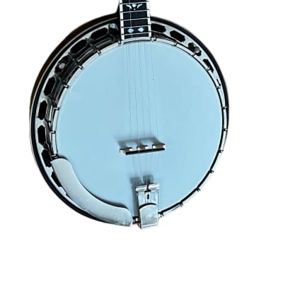 Flinthill FHB-285A Banjo Archtop avec étui : : Instruments de  musique, scène et studio