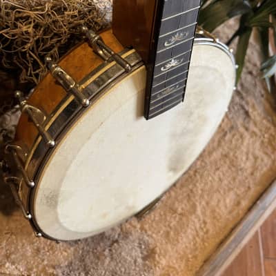 Orpheum No. 1 Mandolin Banjo Project with Original Hard Case image 6
