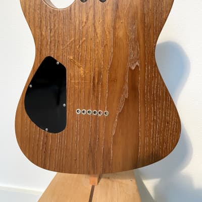 Asher HT Deluxe Roasted Swamp Ash Guitar 2018 image 8