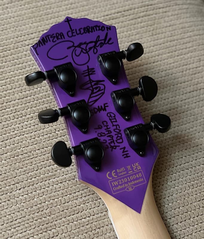 Wylde Audio Barbarian Custom Purple Blizzard Bullseye w Wylde Audio Barbarian Custom Purple Blizzard Bullseye w