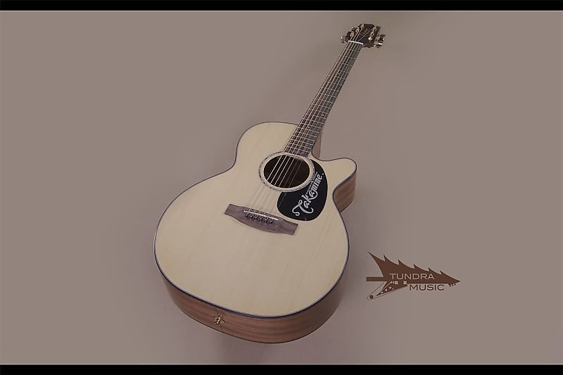 Takamine EG440SC Acoustic/Electric Dreadnought - Natural (411) image 1