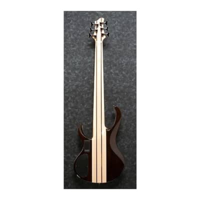 Ibanez BTB Standard 6-String Electric Bass (Right-Handed, Natural Low Gloss) image 7