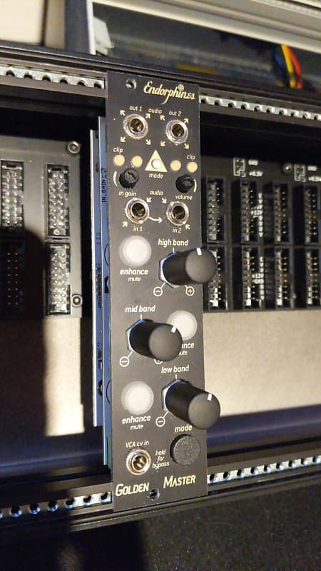 Endorphin.es Golden Master - Black | Reverb