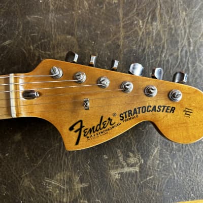 Fender Stratocaster 1973 - Mocha image 5