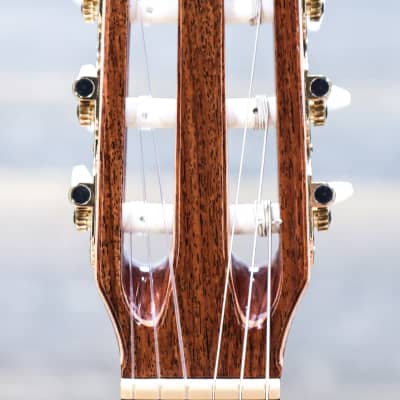 Godin Concert LEFT "B-Stock" Solid Mahogany / Solid Cedar Top Classical Guitar image 5