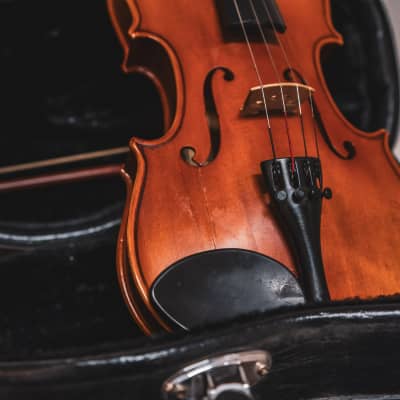 Suzuki NS-20 1/4 Violin Outfit image 4