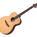 Paul Reed Smith SE Tonare Hollow Body Acoustic-Electric Guitar Ebony/Natural - 101597