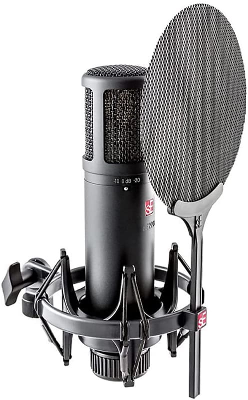 sE Electronics sE2200 Large Diaphragm Cardioid Condenser Microphone image 1