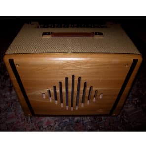 Jay turser amp hot sale