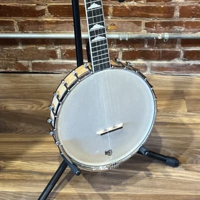 Whitewater Open Back 5 String Banjo with gig bag image 8