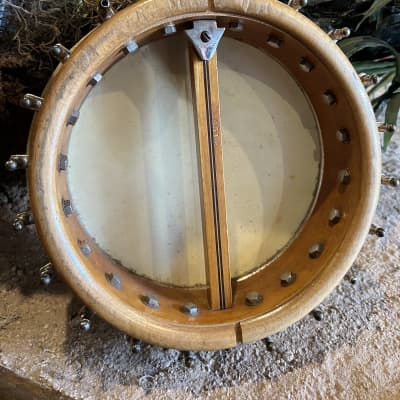 Orpheum No. 1 Mandolin Banjo Project with Original Hard Case image 11