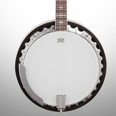 Washburn B10 Five String Banjo image 1