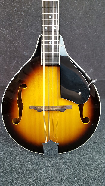 Jay turser mandolin new arrivals