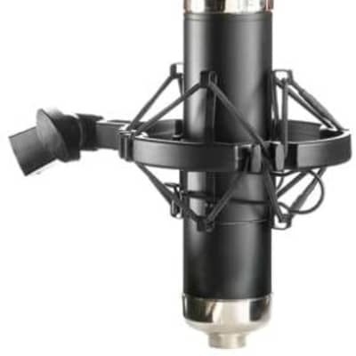 Apex 460B Tube Microphone | Reverb Canada