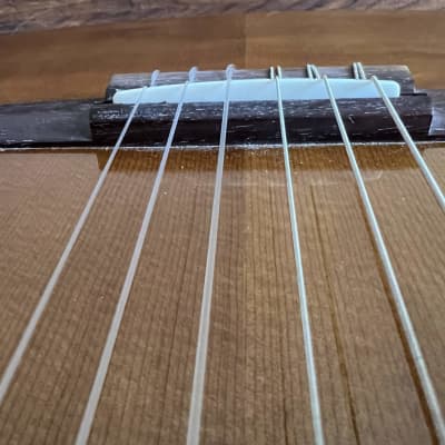 Yairi Nylon String 1968 w/ Case image 8