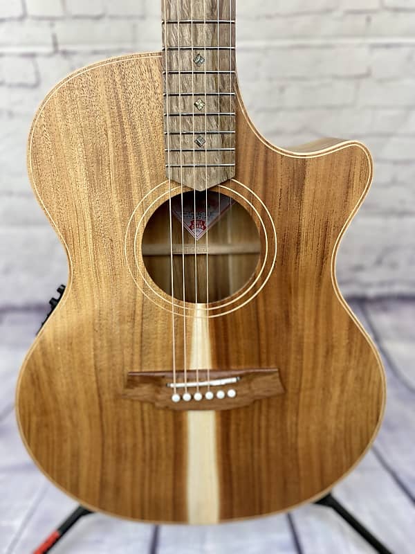 Cole Clark TL2EC-BLBL, All Blackwood - THINLINE