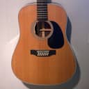 Martin D12-28 with LR Baggs Anthem