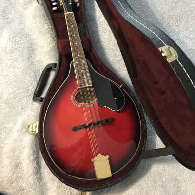Washburn M1SDLDTR-A Americana Series A-Style Bluegrass Mandolin /with TKL case image 1