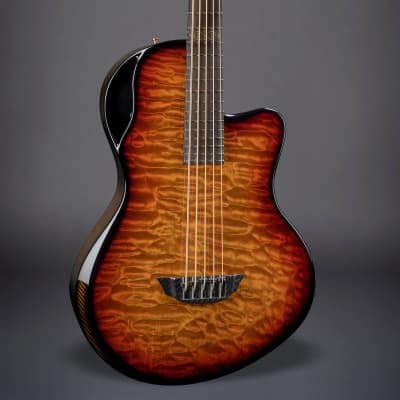 Emerald Balor Bass 5-String | Carbon Fiber Acoustic Bass Guitar image 13