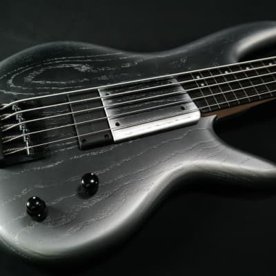 Ibanez Gary Willis Signature 5str Electric Bass w/Bag - Silver Wave Burst Flat - 807 for sale