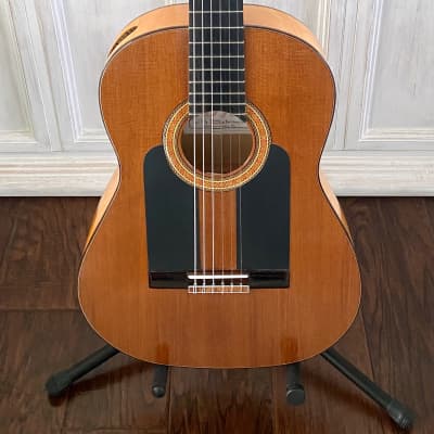 Darren Hippner Especial Barbero Flamenco Guitar Blanca 2023 Free Spanish Cejilla image 2