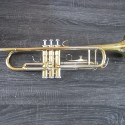 Accent brand Trumpet with soft case and mouthpiece for sale