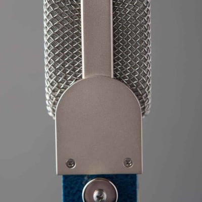 Blue Microphones Blueberry Cardioid Condenser Microphone image 4