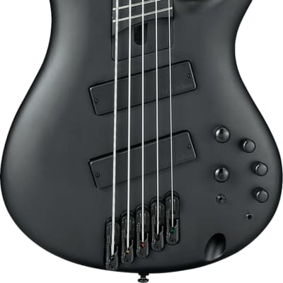 Ibanez SRMS625EX SR Iron Label 5-String Multi-Scale Bass Guitar, Black Flat image 1