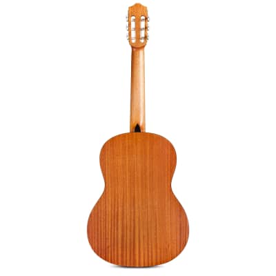 Cordoba C1M Protege Full Nylon-String Acoustic Guitar Rosewood Board Natural image 3