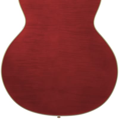 D'Angelico Excel 59 Hollowbody Guitar, Ebony Fretboard, Single Cutaway, Viola, DAE59VIOGT, New, Free Shipping image 14
