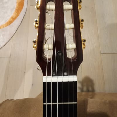 UNIQUE Modified Yamaha SLG200NW Nylon String Silent Guitar image 6