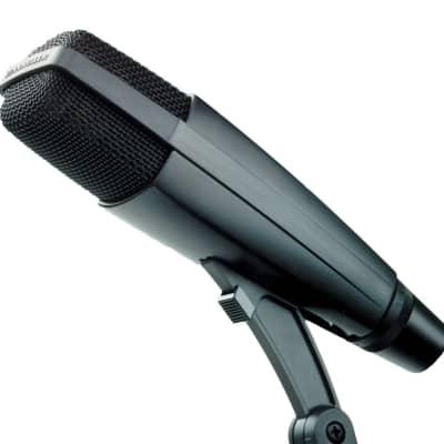 Sennheiser MD421-II Cardioid Dynamic Microphone with 5-Position rolloff Switch