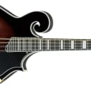 Ibanez M522S F Style Mandolin Dark Violin Sunburst