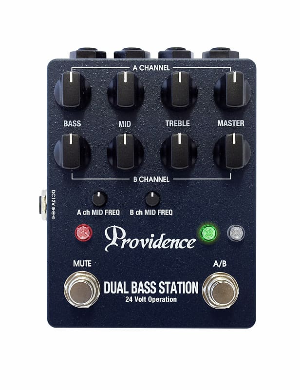 Providence Dual Bass Station DBS-1 2017 Gray image 1