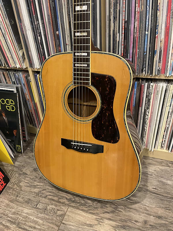 Canyon W-60 acoustic guitar guild D-55