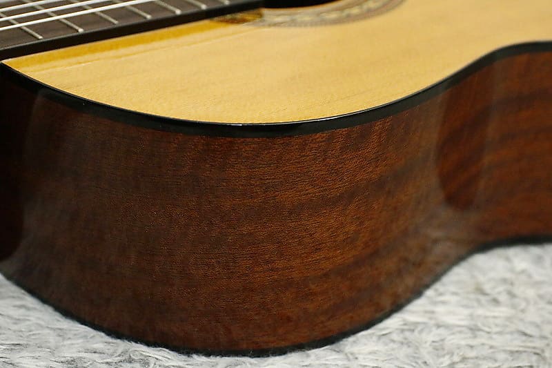 Jasmine by TAKAMINE JS441 ギター カバー付き レア？ギター - アコースティックギター