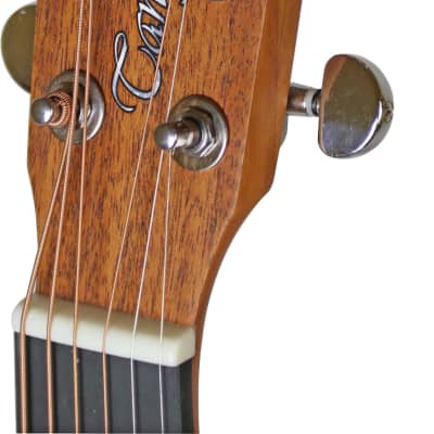 Tanglewood TWR20 Roadster Folk Acoustic Guitar image 5