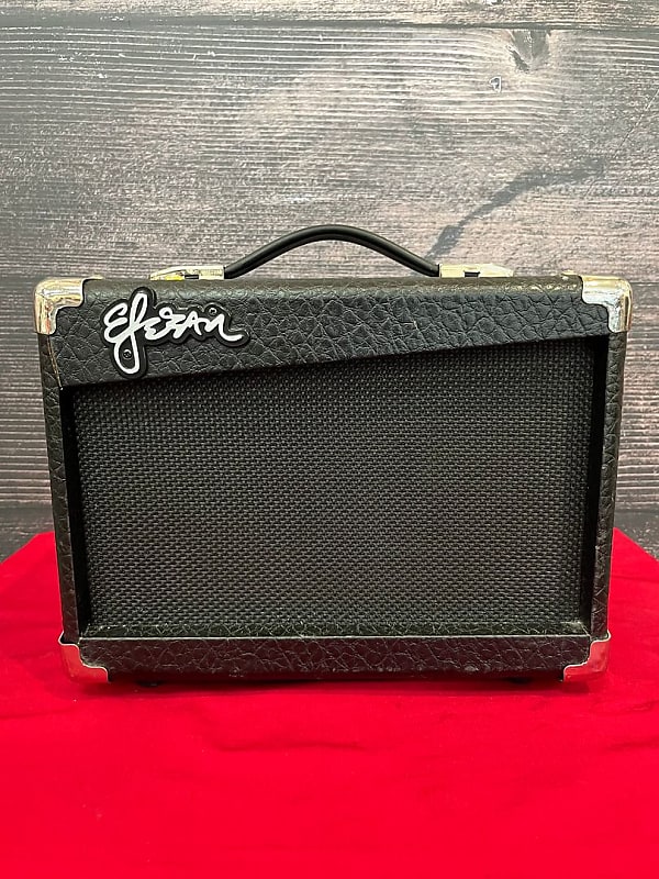 ESTEBAN G10 Guitar Combo Amplifier (Sarasota, FL) Reverb
