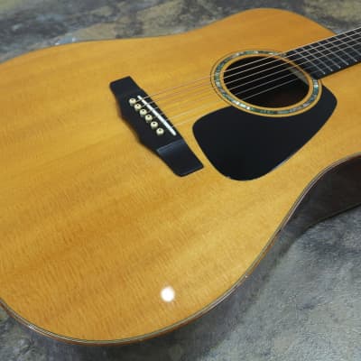 Morris M LTD | Reverb
