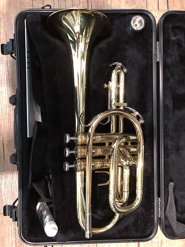 King 603 Student Model Reverb