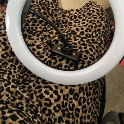 Argos 10" desk ring light with phone holder accessory for home studio recording 2023 - Black with Several Options For Light Colour image 2