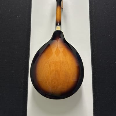Mitchell Mandolin image 3