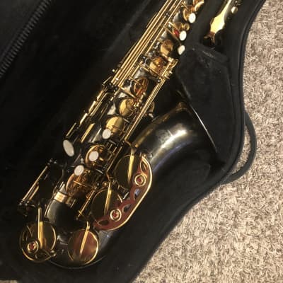 Beginners Sakkusu Alto Saxophone.