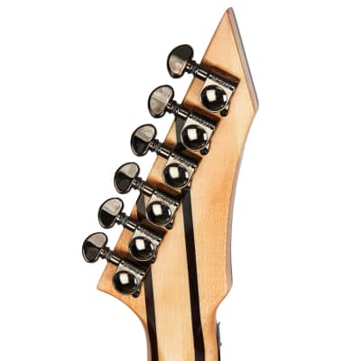 BC Rich Guitars Jr-V Extreme Exotic Electric Guitar with Floyd Rose, Case, Strap, and Stand, Spalted Maple image 7